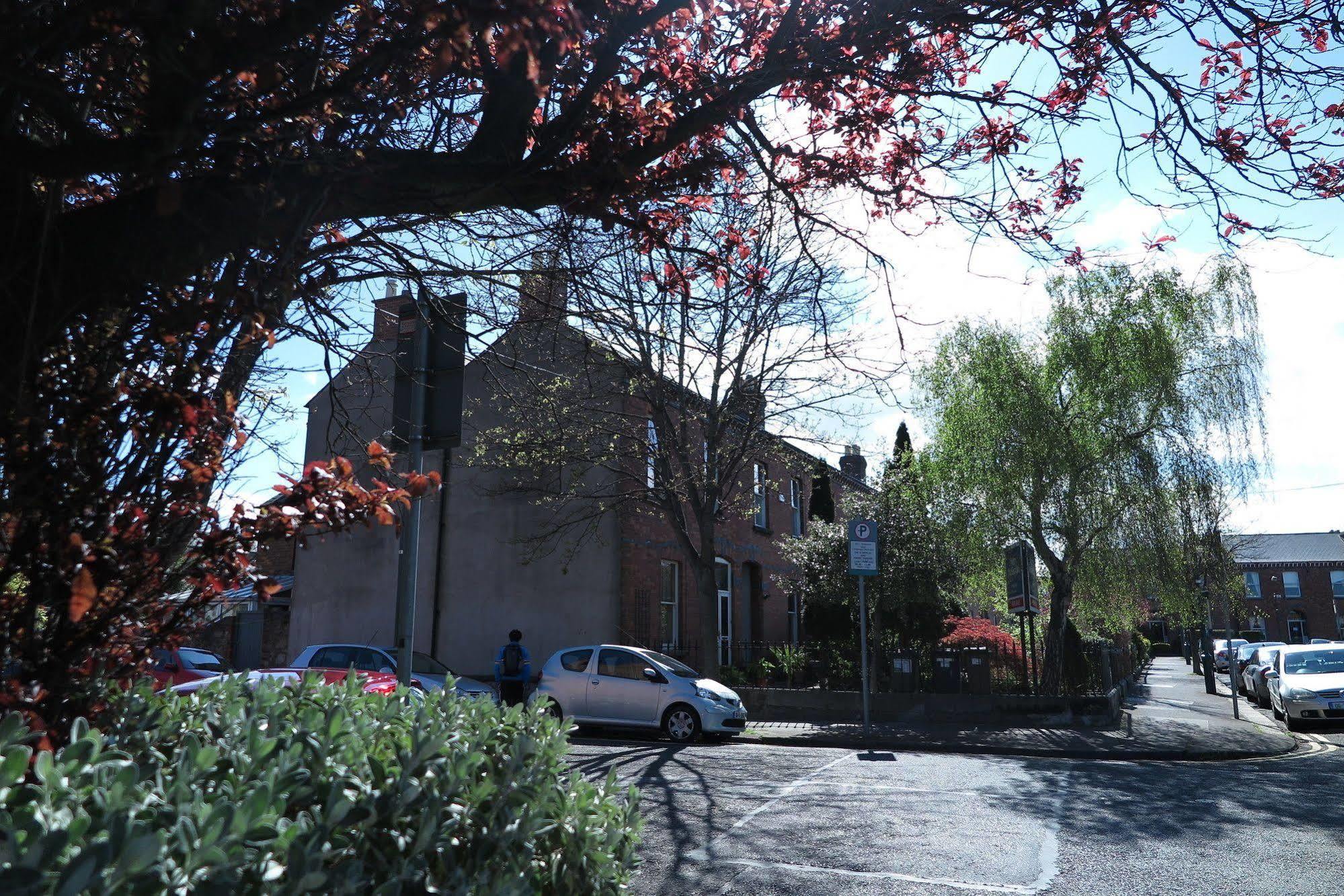 The Dublin Viking'S Place. Екстериор снимка